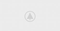 wood-gallery-placeholder-5 wood-gallery-placeholder-5